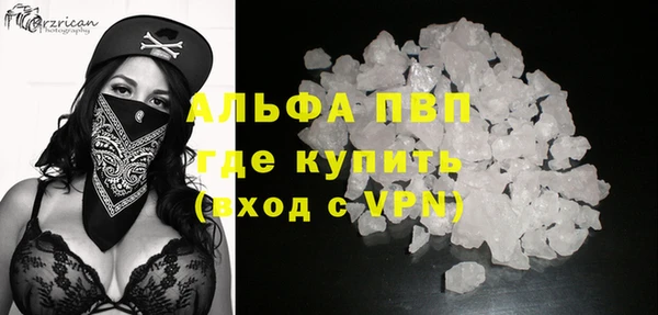 ешки Бородино