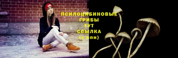 ешки Бугульма