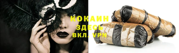 ешки Бородино