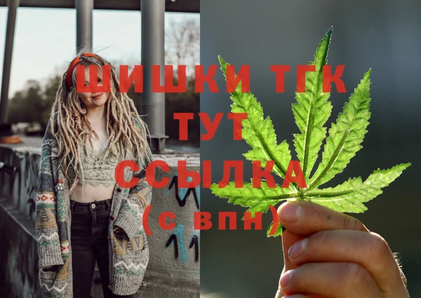 ешки Бородино