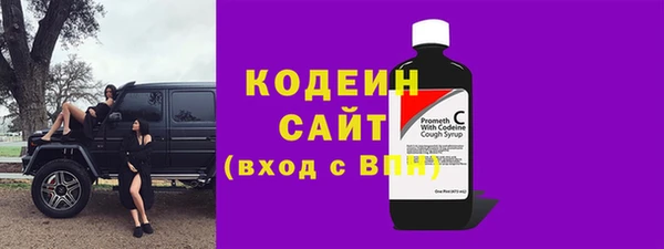 ешки Бородино