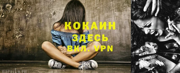 ешки Бородино