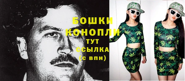 ешки Бородино
