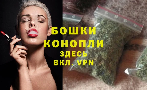 ECSTASY Пересвет