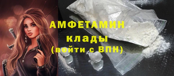 ешки Бородино