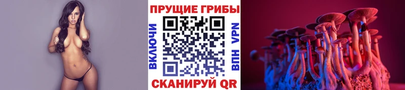 Галлюциногенные грибы GOLDEN TEACHER  даркнет сайт  Приволжский 